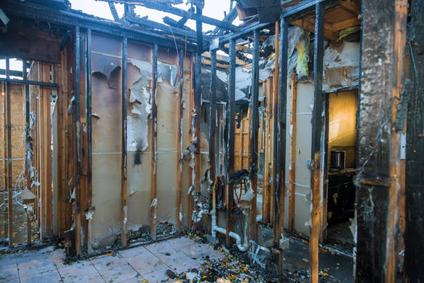 Professional Odor Removal technician working in Rushville, IN